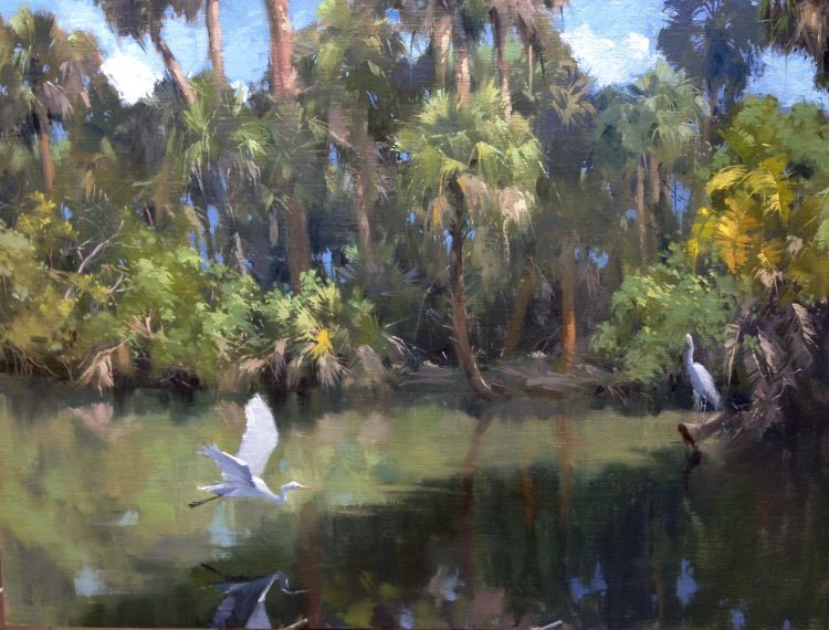 Egrets in Paradise