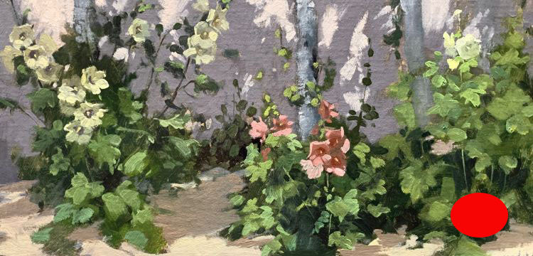 Hollyhocks in Spring