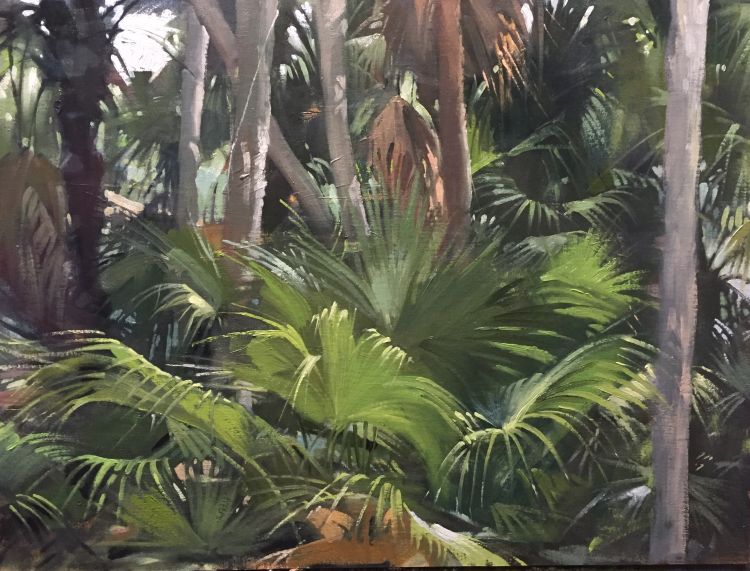 Palms in Motion